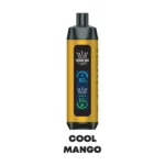 Mango Ice