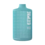 BERRY BLUE 5000 PUFF 5%