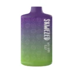 WAKI BERRY BLAST 5000 PUFF 5%